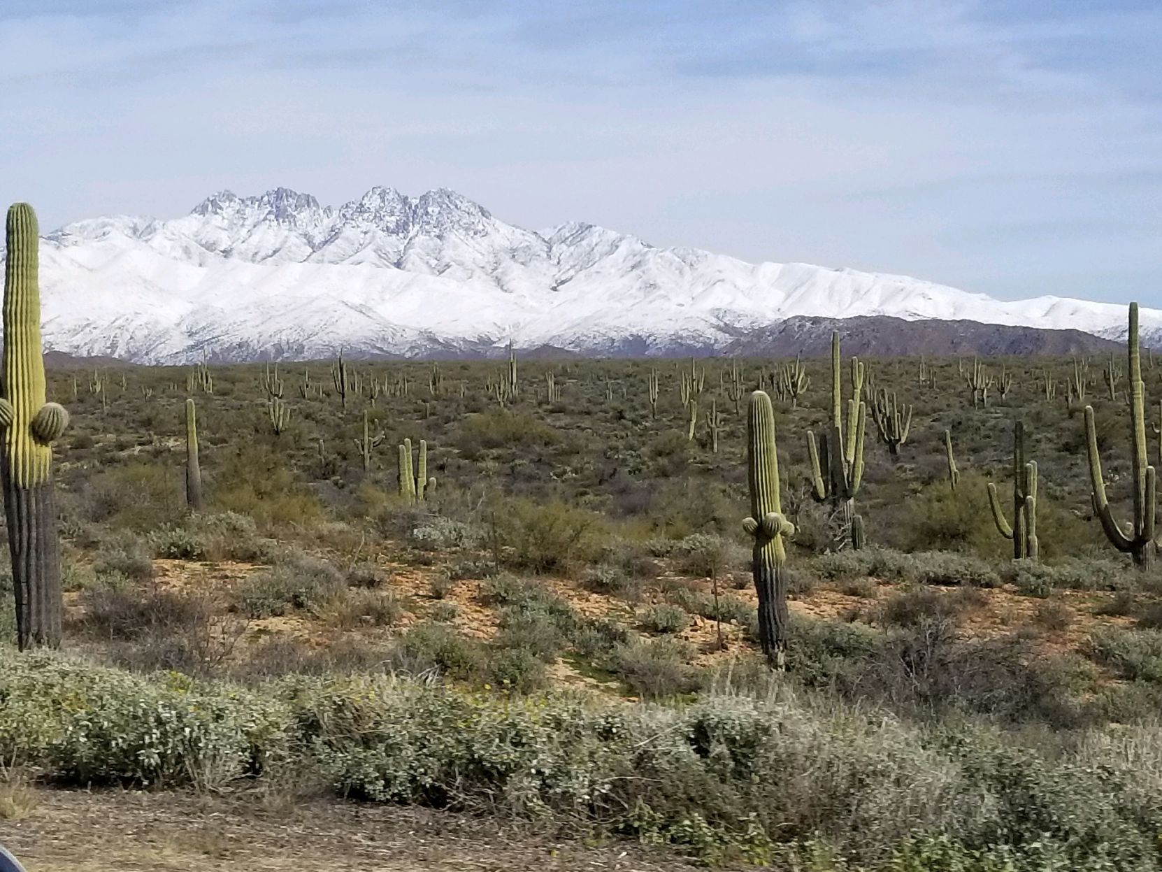 Desert Snow